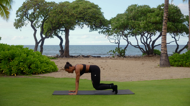 Preview of Mat Core Focus 003