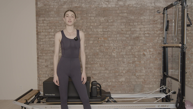 Preview of 15 Min Reformer | Arms, Shoulders, and Back